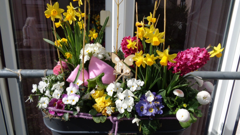 023_129_Frühling.jpg