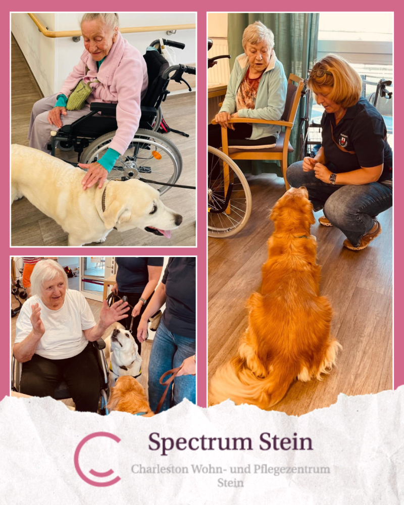 139 Hundebesuch