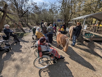 6 Pony.jpg