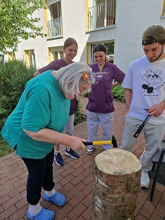 Baumstammnageln.jpg
