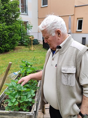 Bild27.jpg
