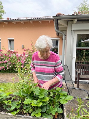 Erdbeerwoch Basteln 10kl T