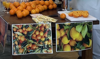 Orangensaft8